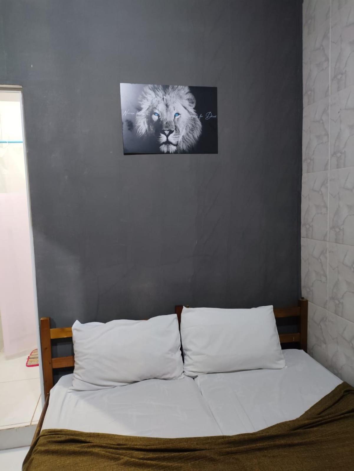 Hostel Aprisco Brasil Sao Paulo Dış mekan fotoğraf